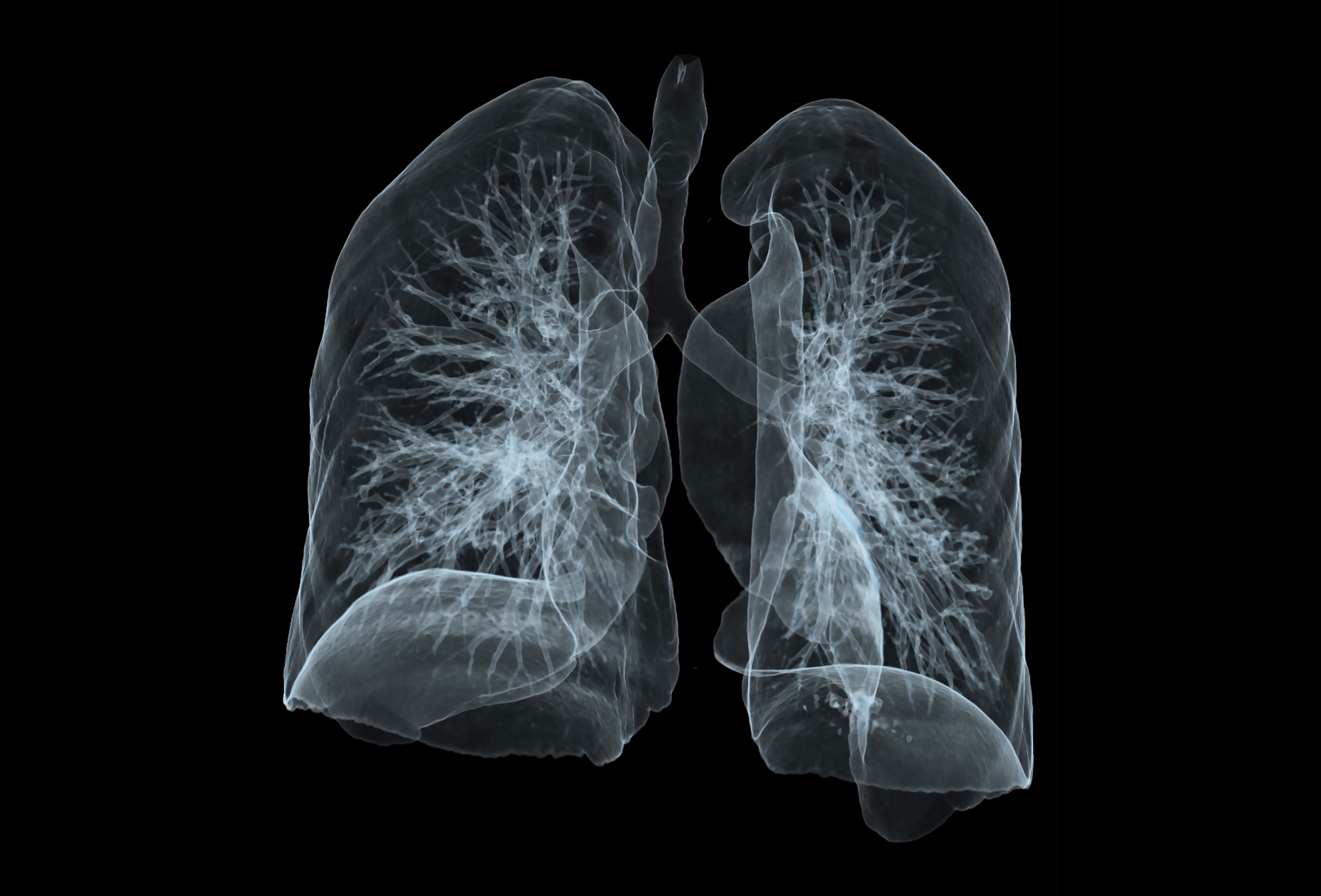 Zellari Screenshot 9