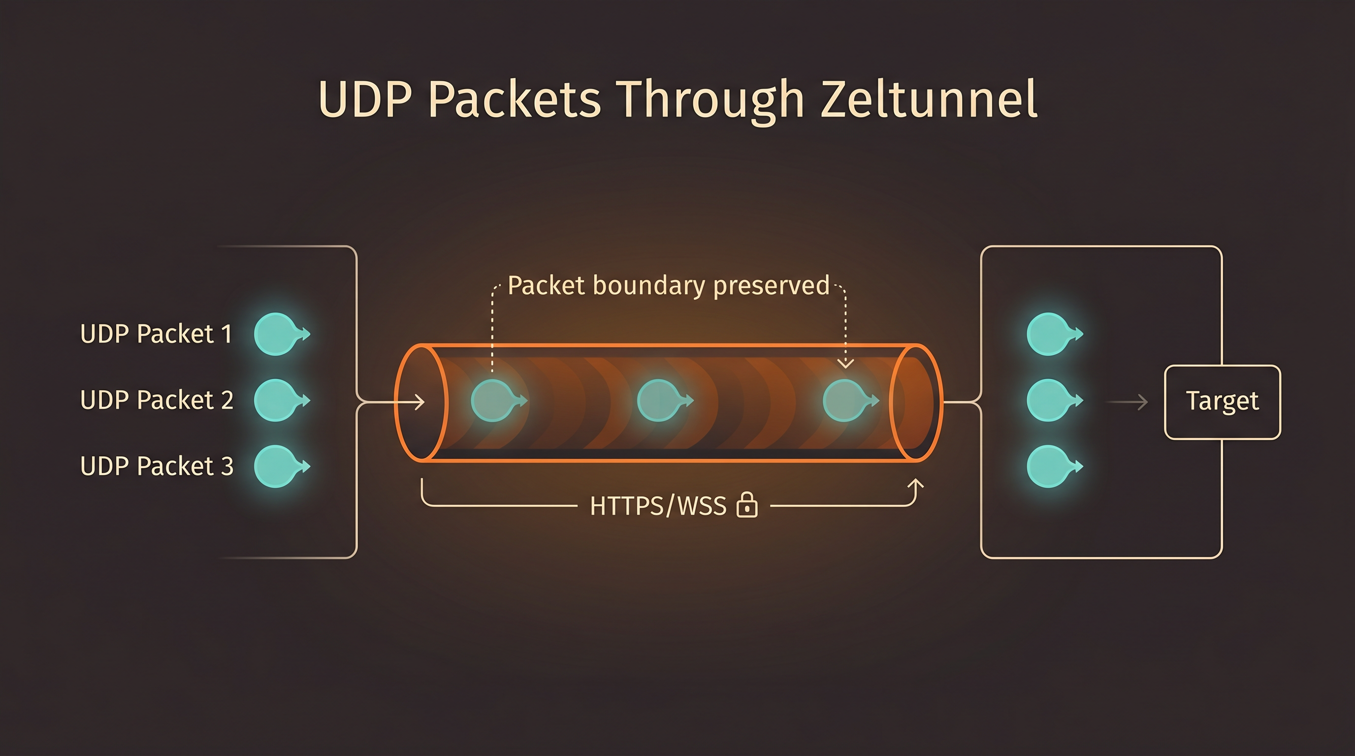 ZelTunnel dashboard