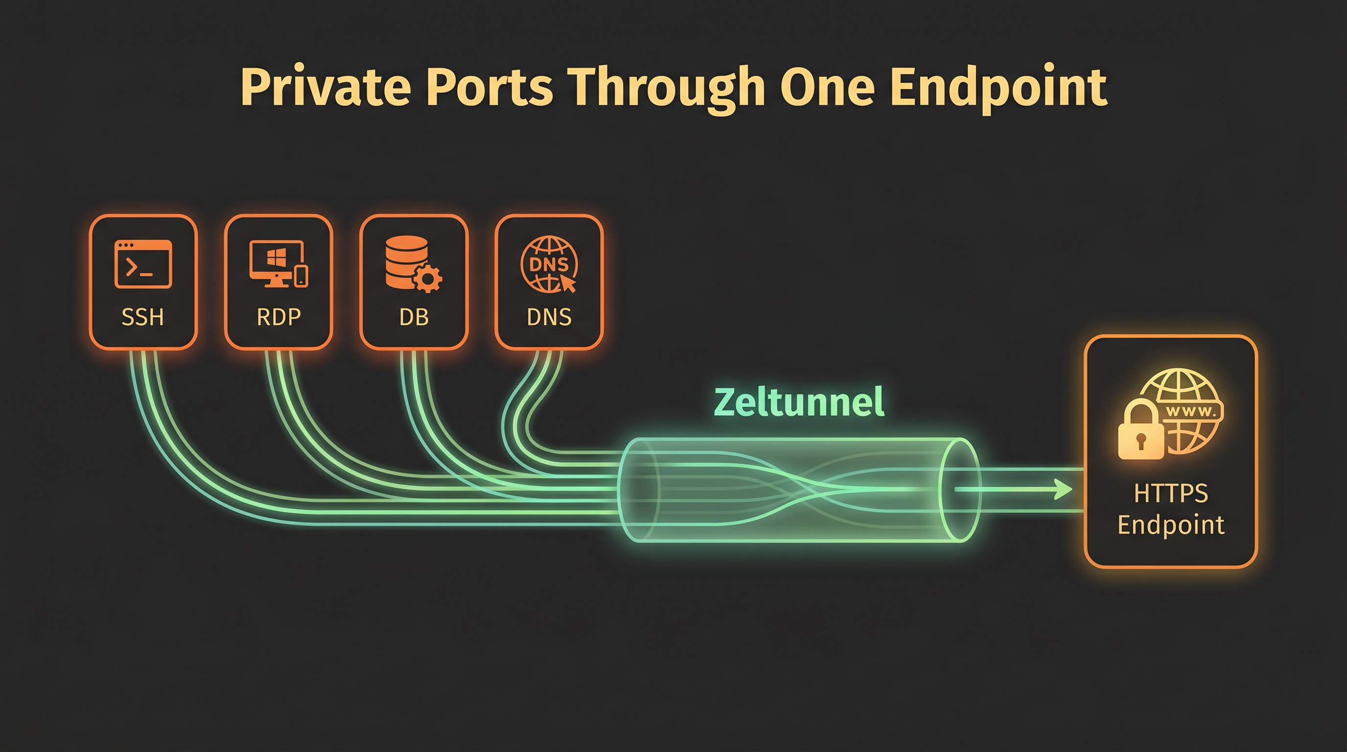 Network path